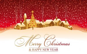 Read more about the article Merry Christmas!