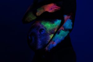 Read more about the article Blacklight Photography